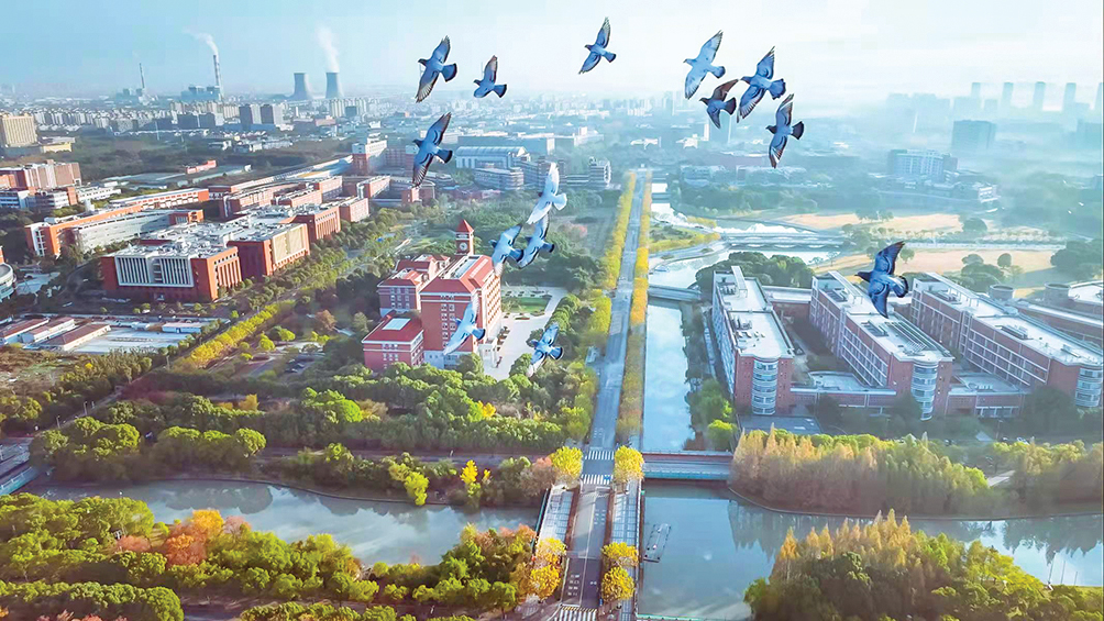 [上海交大报·思源湖 第1735期] 鸽声里的中国